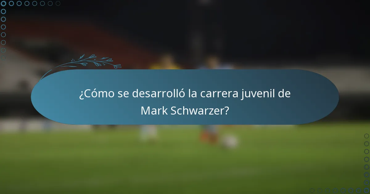 ¿Cómo se desarrolló la carrera juvenil de Mark Schwarzer?