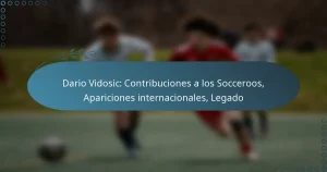 Read more about the article Dario Vidosic: Contribuciones a los Socceroos, Apariciones internacionales, Legado