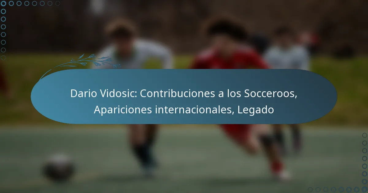 Read more about the article Dario Vidosic: Contribuciones a los Socceroos, Apariciones internacionales, Legado