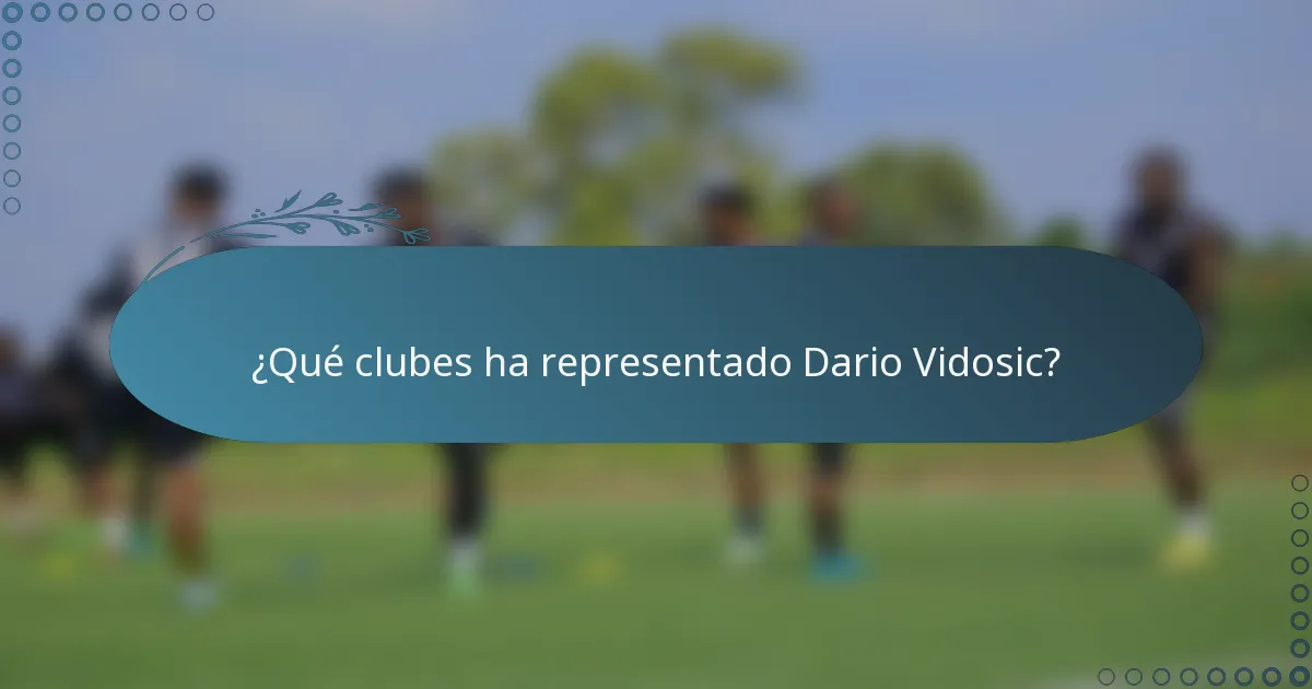 ¿Qué clubes ha representado Dario Vidosic?